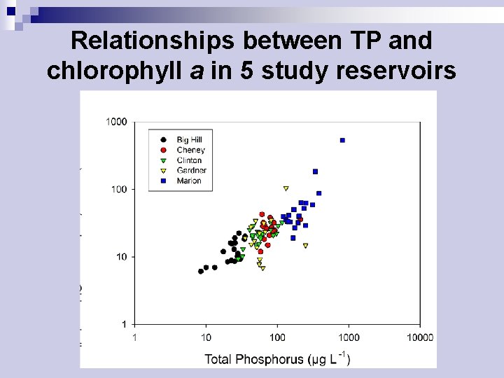 Relationships between TP and chlorophyll a in 5 study reservoirs 