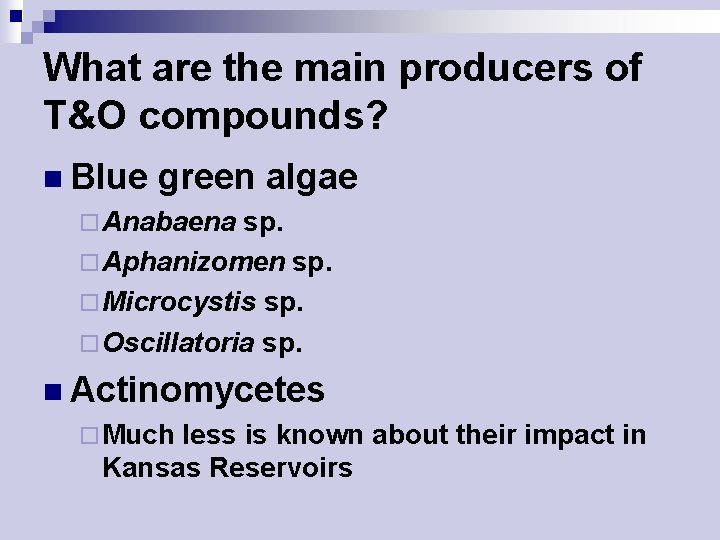 What are the main producers of T&O compounds? n Blue green algae ¨ Anabaena