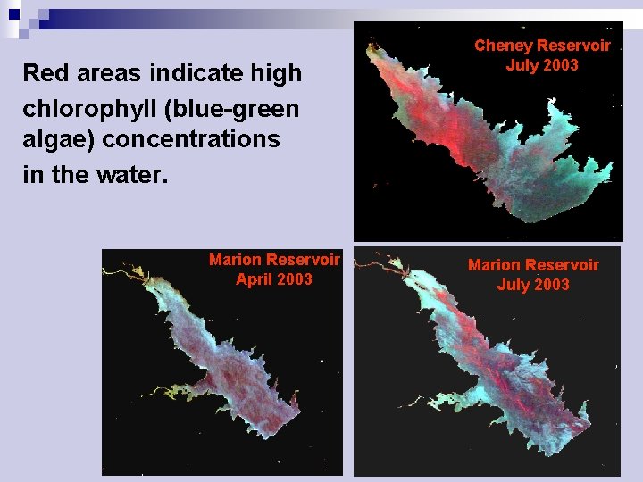 Red areas indicate high chlorophyll (blue-green algae) concentrations in the water. Marion Reservoir April
