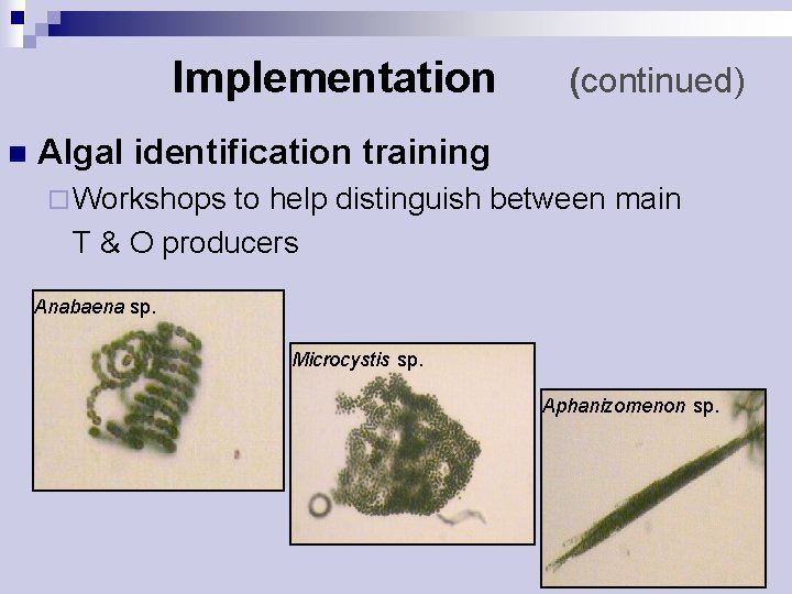 Implementation n (continued) Algal identification training ¨ Workshops to help distinguish between main T