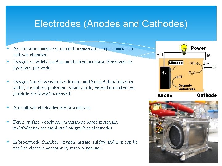 Electrodes (Anodes and Cathodes) An electron acceptor is needed to maintain the process at