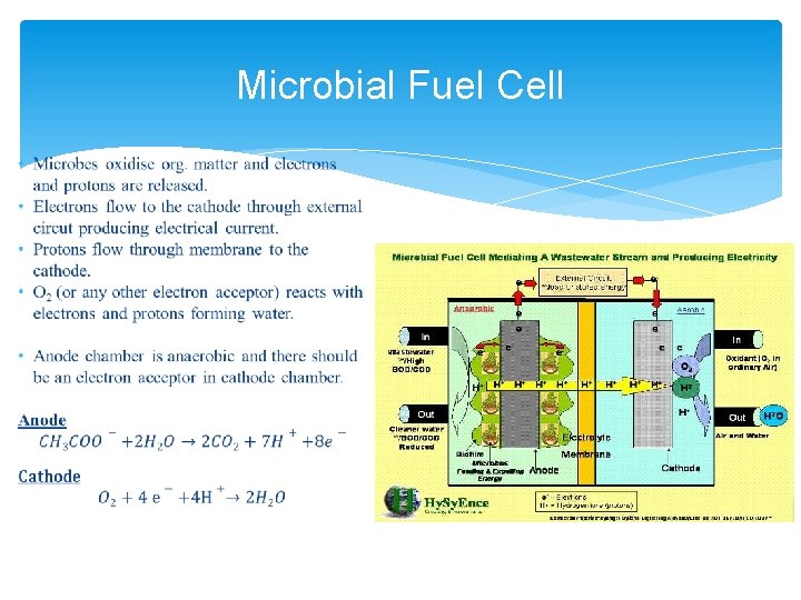 Microbial Fuel Cell 