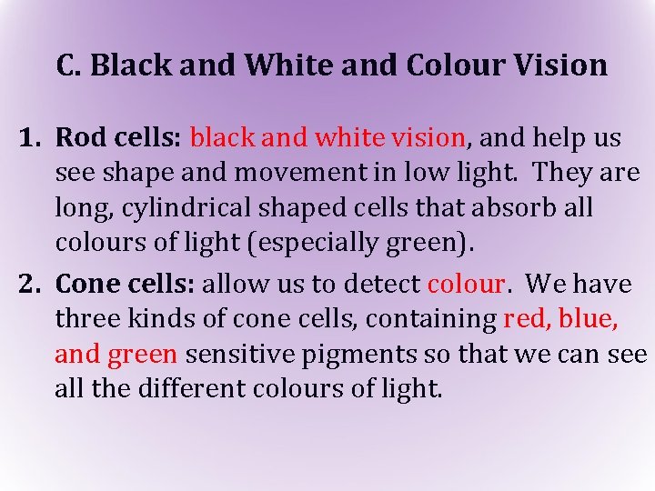 C. Black and White and Colour Vision 1. Rod cells: black and white vision,