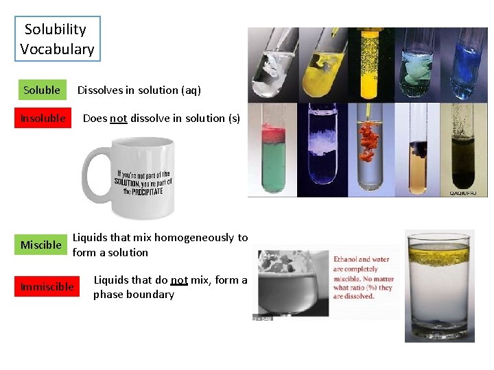Solubility Vocabulary Soluble Dissolves in solution (aq) Insoluble Does not dissolve in solution (s)