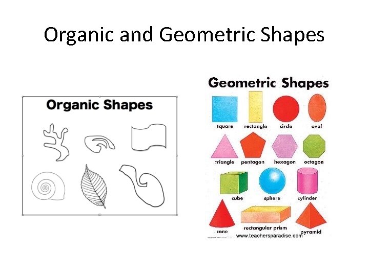 Organic and Geometric Shapes 