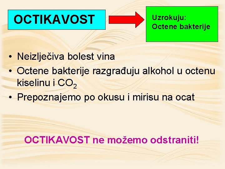 OCTIKAVOST Uzrokuju: Octene bakterije • Neizlječiva bolest vina • Octene bakterije razgrađuju alkohol u