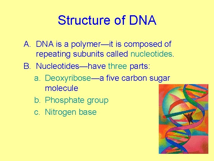 Structure of DNA A. DNA is a polymer—it is composed of repeating subunits called