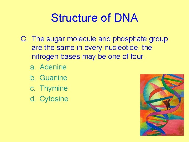 Structure of DNA C. The sugar molecule and phosphate group are the same in