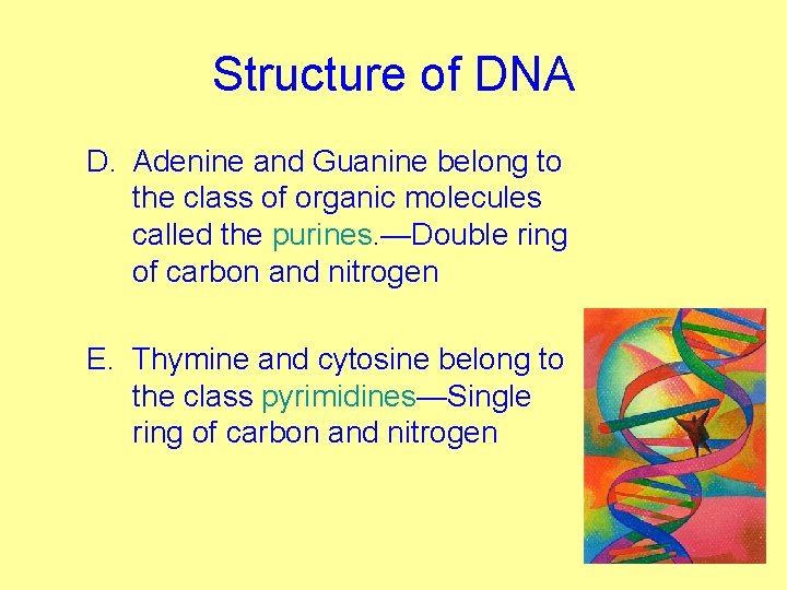 Structure of DNA D. Adenine and Guanine belong to the class of organic molecules