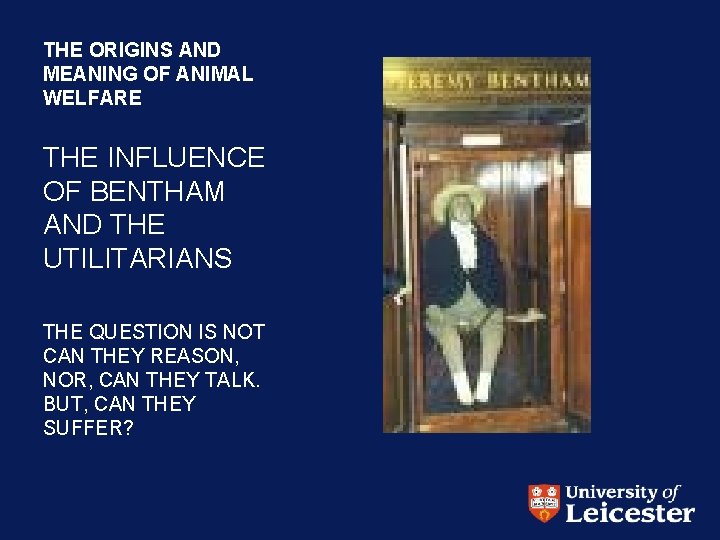 THE ORIGINS AND MEANING OF ANIMAL WELFARE THE INFLUENCE OF BENTHAM AND THE UTILITARIANS