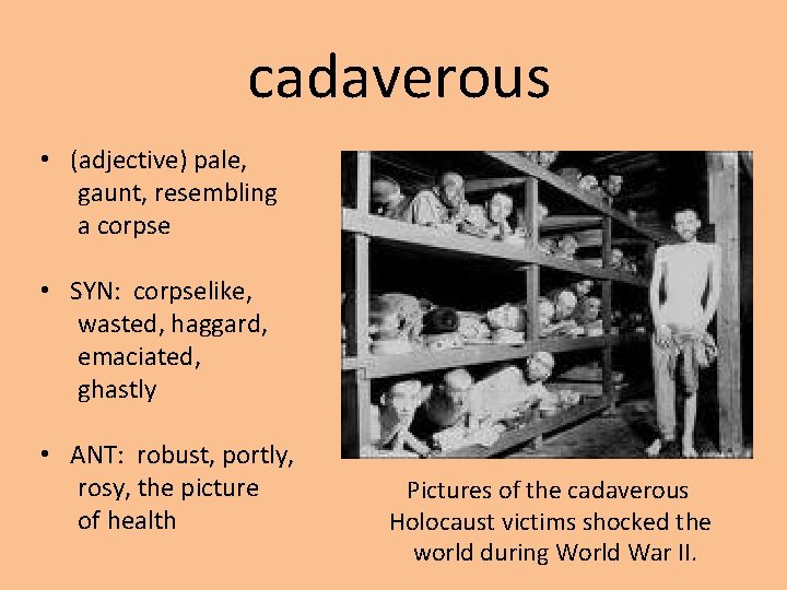 cadaverous • (adjective) pale, gaunt, resembling a corpse • SYN: corpselike, wasted, haggard, emaciated,