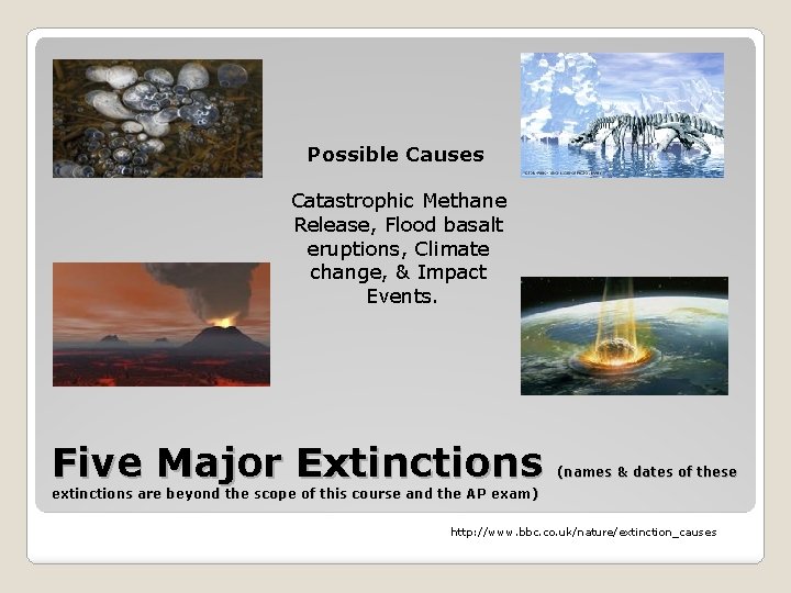 Possible Causes Catastrophic Methane Release, Flood basalt eruptions, Climate change, & Impact Events. Five