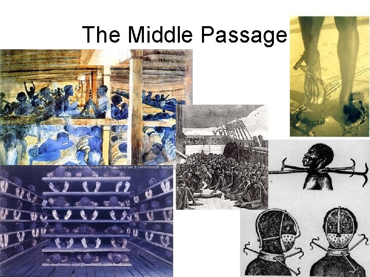 The Middle Passage 