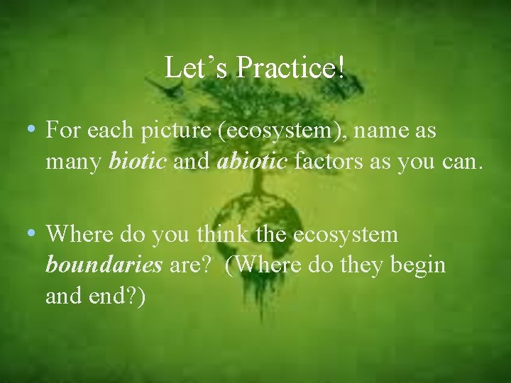 Let’s Practice! • For each picture (ecosystem), name as many biotic and abiotic factors
