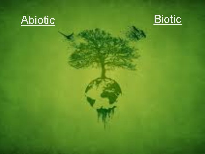 Abiotic Biotic 