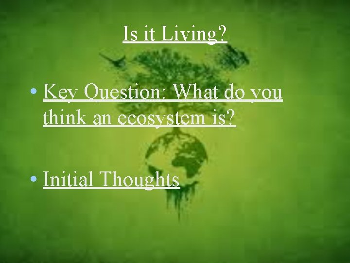 Is it Living? • Key Question: What do you think an ecosystem is? •