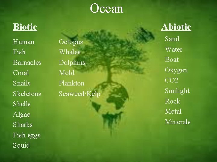 Ocean Biotic Human Fish Barnacles Coral Snails Skeletons Shells Algae Sharks Fish eggs Squid