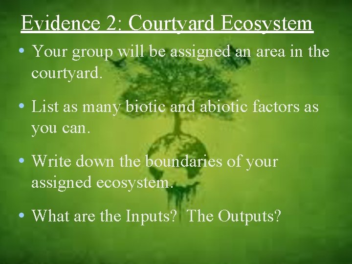 Evidence 2: Courtyard Ecosystem • Your group will be assigned an area in the