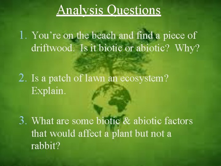 Analysis Questions 1. You’re on the beach and find a piece of driftwood. Is