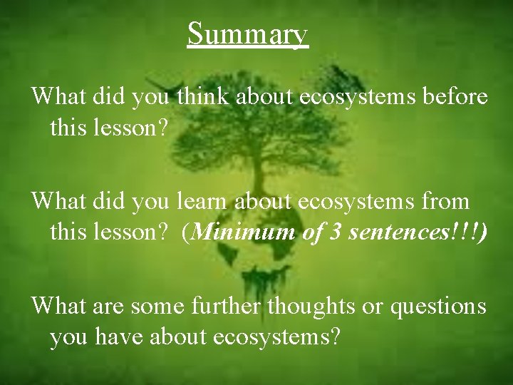 Summary What did you think about ecosystems before this lesson? What did you learn