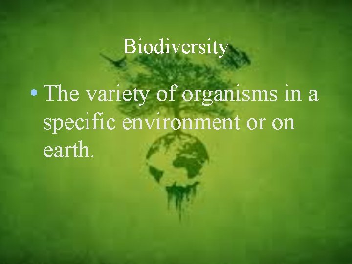 Biodiversity • The variety of organisms in a specific environment or on earth. 