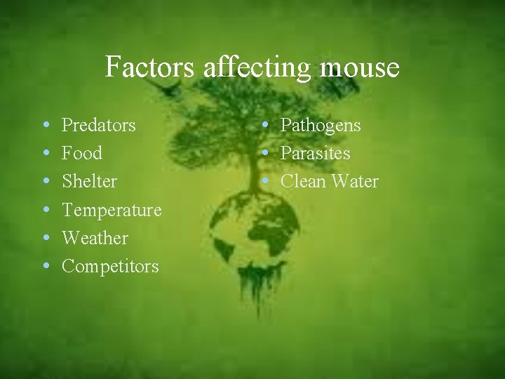 Factors affecting mouse • • • Predators Food Shelter Temperature Weather Competitors • Pathogens