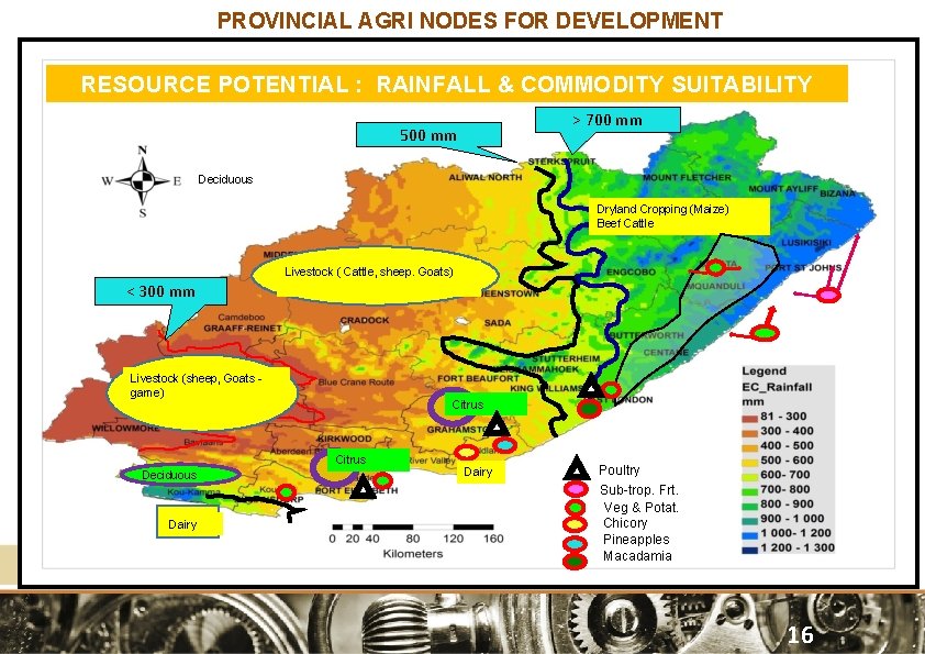 PROVINCIAL AGRI NODES FOR DEVELOPMENT RESOURCE POTENTIAL : RAINFALL & COMMODITY SUITABILITY > 700