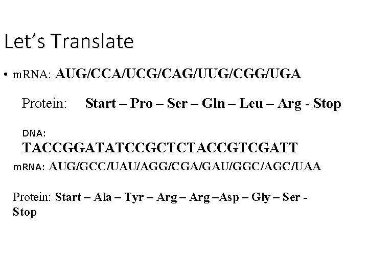 Let’s Translate • m. RNA: AUG/CCA/UCG/CAG/UUG/CGG/UGA Protein: Start – Pro – Ser – Gln