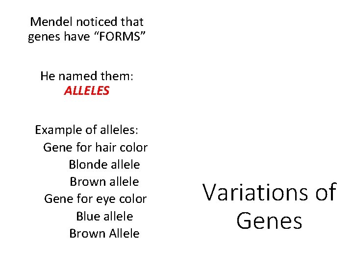 Mendel noticed that genes have “FORMS” He named them: ALLELES Example of alleles: Gene