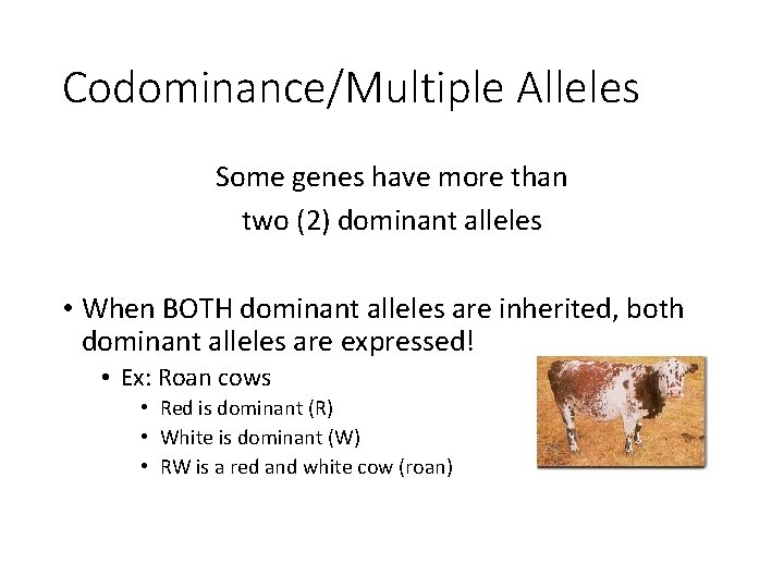Codominance/Multiple Alleles Some genes have more than two (2) dominant alleles • When BOTH