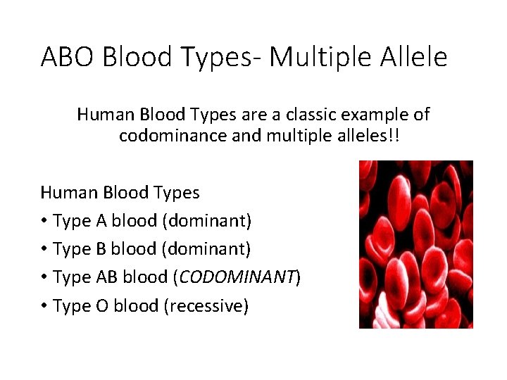 ABO Blood Types- Multiple Allele Human Blood Types are a classic example of codominance