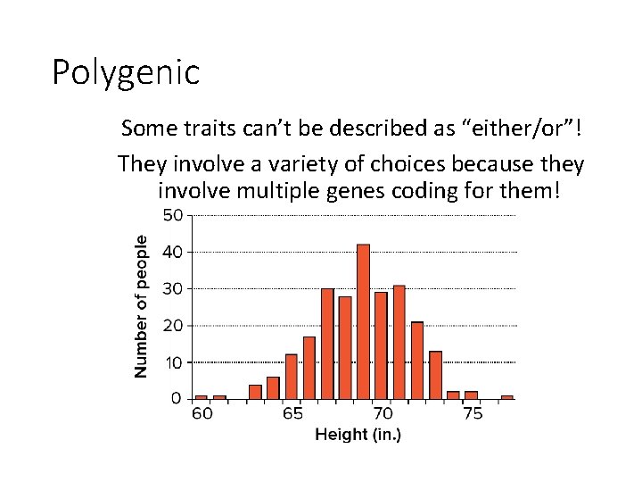 Polygenic Some traits can’t be described as “either/or”! They involve a variety of choices