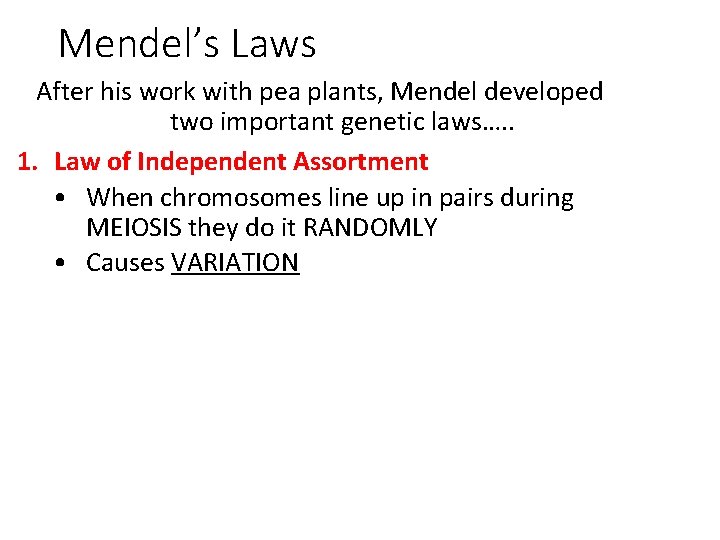 Mendel’s Laws After his work with pea plants, Mendel developed two important genetic laws….