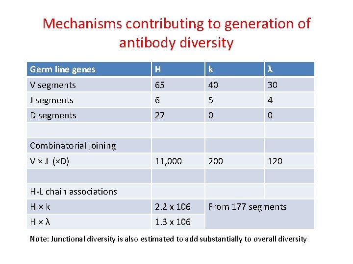 Mechanisms contributing to generation of antibody diversity Germ line genes H k λ V