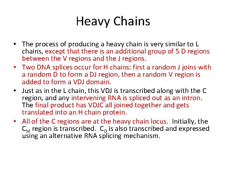Heavy Chains • The process of producing a heavy chain is very similar to