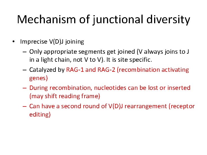 Mechanism of junctional diversity • Imprecise V(D)J joining – Only appropriate segments get joined