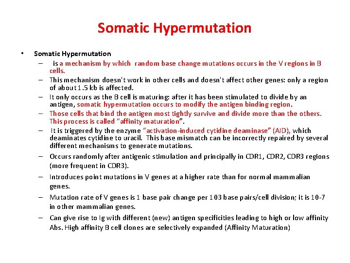 Somatic Hypermutation • Somatic Hypermutation – is a mechanism by which random base change