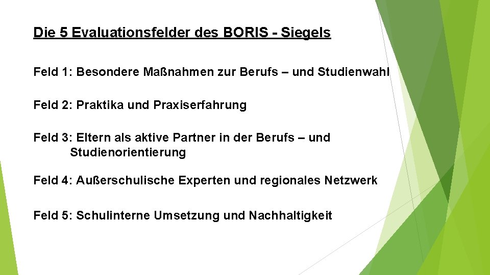 Die 5 Evaluationsfelder des BORIS - Siegels Feld 1: Besondere Maßnahmen zur Berufs –