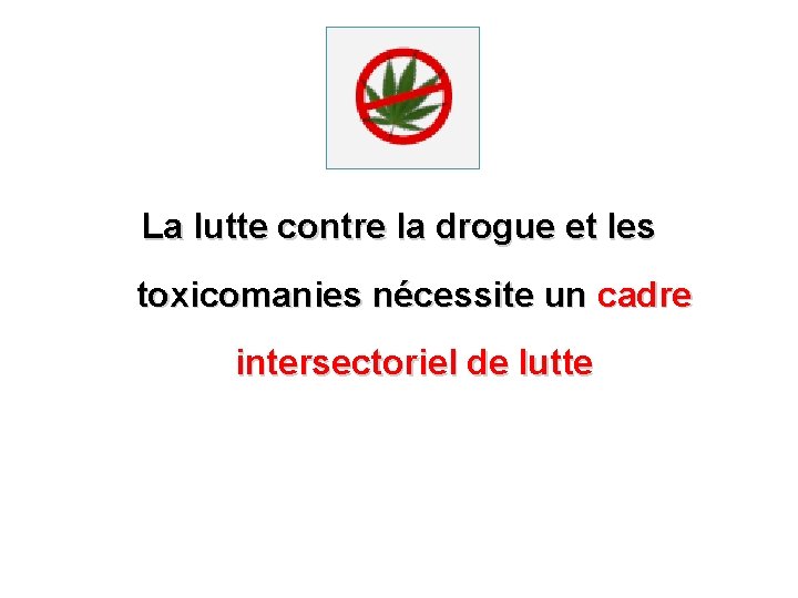 La lutte contre la drogue et les toxicomanies nécessite un cadre intersectoriel de lutte