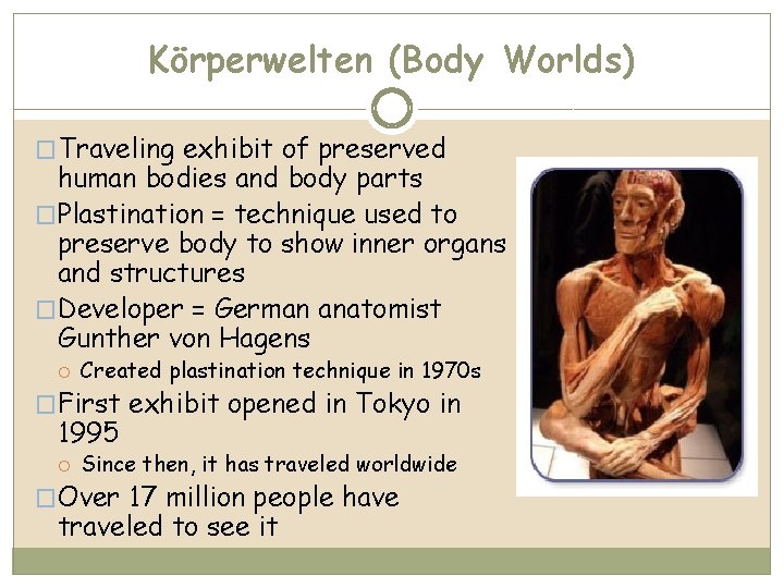 Körperwelten (Body Worlds) �Traveling exhibit of preserved human bodies and body parts �Plastination =