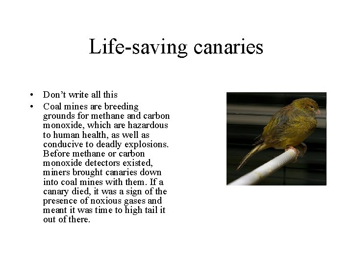 Life-saving canaries • Don’t write all this • Coal mines are breeding grounds for