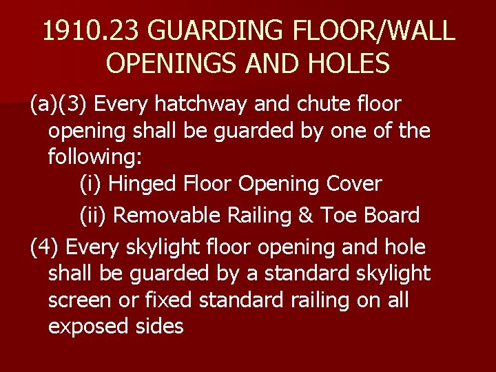 1910. 23 GUARDING FLOOR/WALL OPENINGS AND HOLES (a)(3) Every hatchway and chute floor opening
