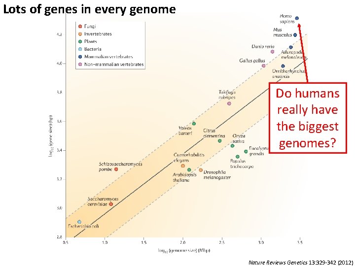 Lots of genes in every genome Do humans really have the biggest genomes? Nature