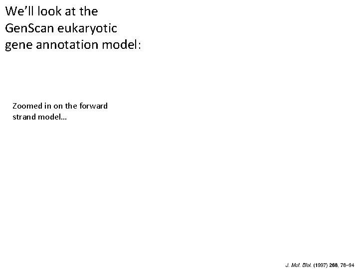 We’ll look at the Gen. Scan eukaryotic gene annotation model: Zoomed in on the