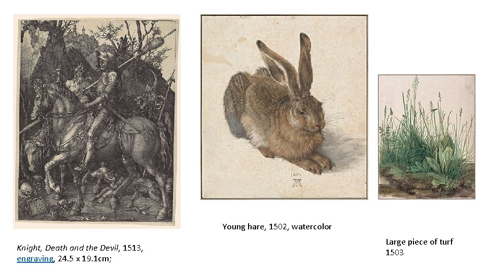 Young hare, 1502, watercolor Knight, Death and the Devil, 1513, engraving, 24. 5 x