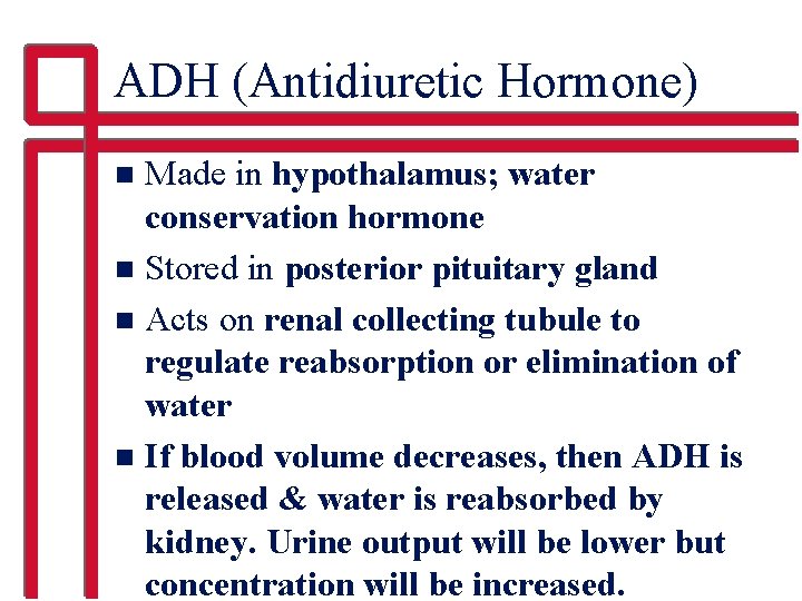 ADH (Antidiuretic Hormone) Made in hypothalamus; water conservation hormone n Stored in posterior pituitary