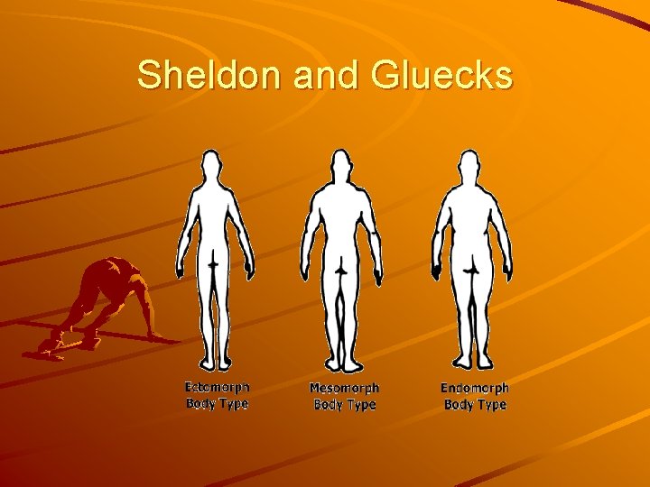 Sheldon and Gluecks 