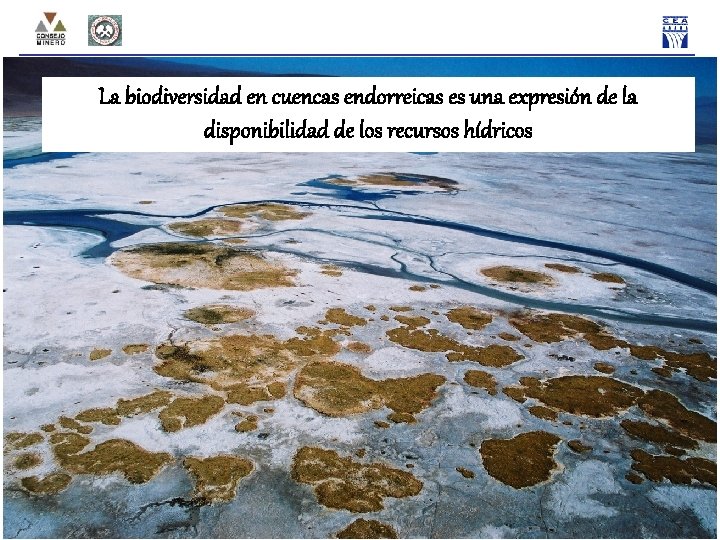 La biodiversidad en cuencas endorreicas es una expresión de la disponibilidad de los recursos