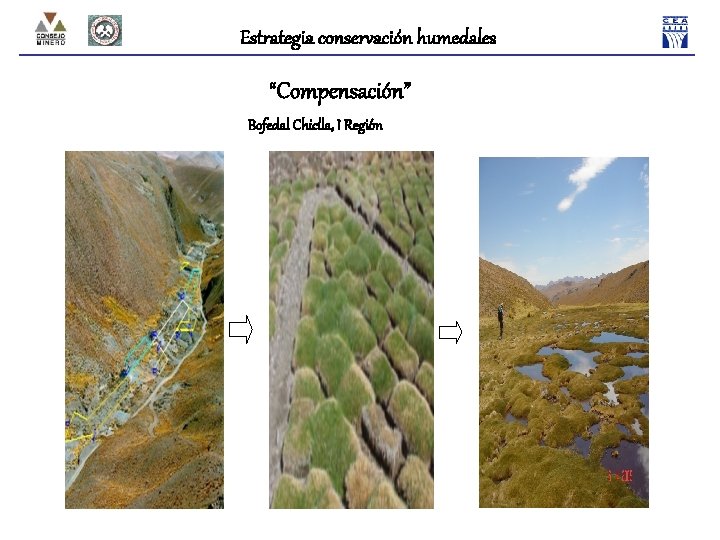 Estrategia conservación humedales “Compensación” Bofedal Chiclla, I Región 