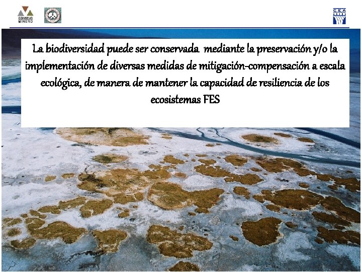 La biodiversidad puede ser conservada mediante la preservación y/o la implementación de diversas medidas